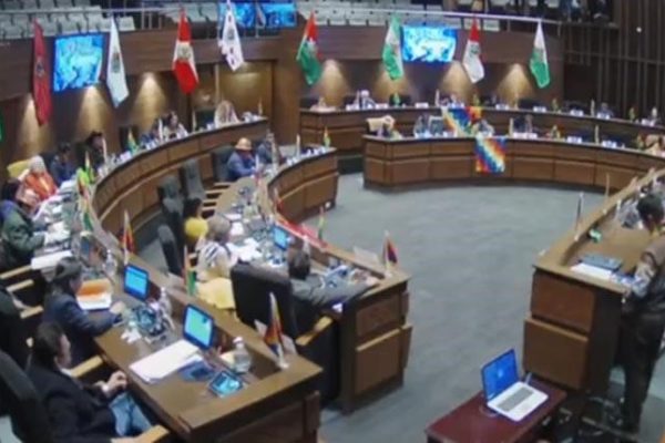 Senado sobre primarias