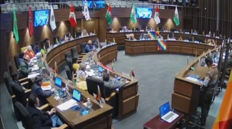 Senado sobre primarias