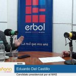 Delcastillo erbol