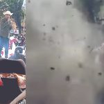 Diseño sin título