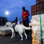 Chile decomiso 100 toneladas de droga