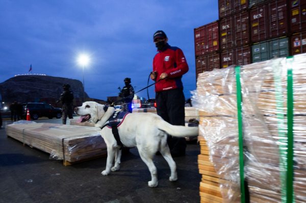Chile decomiso 100 toneladas de droga